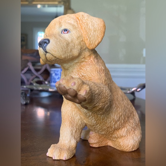 Lenox Yellow Labrador Retriever - Picture 9 of 14